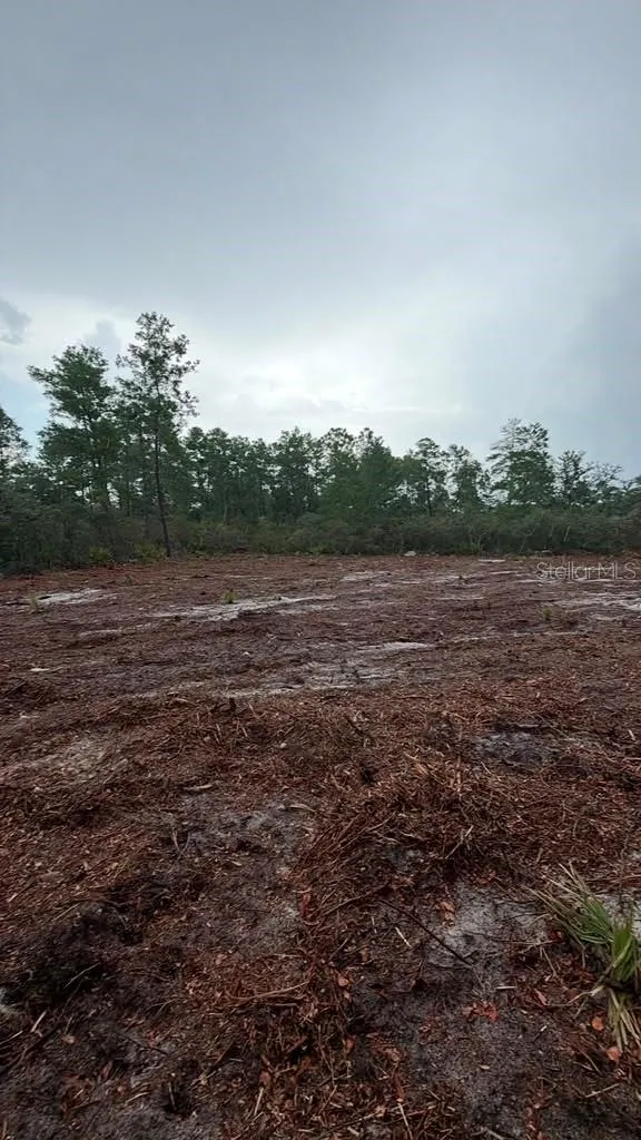 FISHER WAY TRACK Ocklawaha, FL 32179