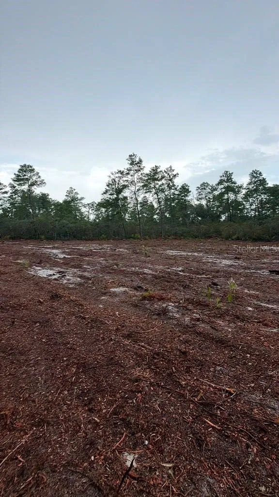 FISHER WAY TRACK Ocklawaha, FL 32179