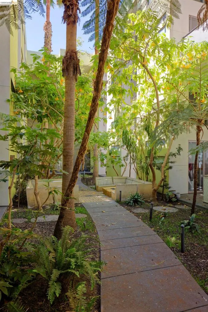 1201 Pine St #315 Oakland, CA 94607