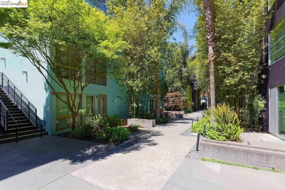1201 Pine St #315 Oakland, CA 94607
