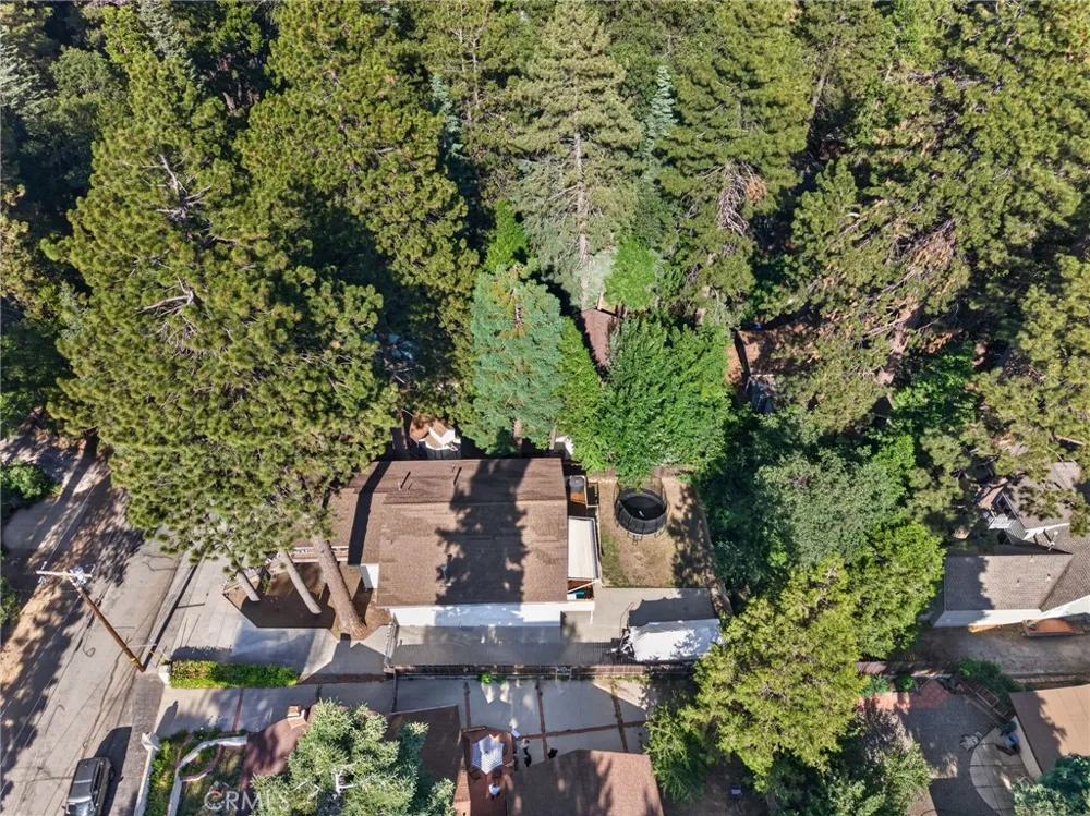 31351 Firwood Drive Running Springs, CA 92382