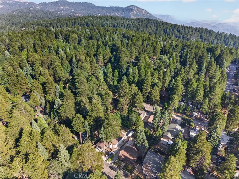 31351 Firwood Drive Running Springs, CA 92382