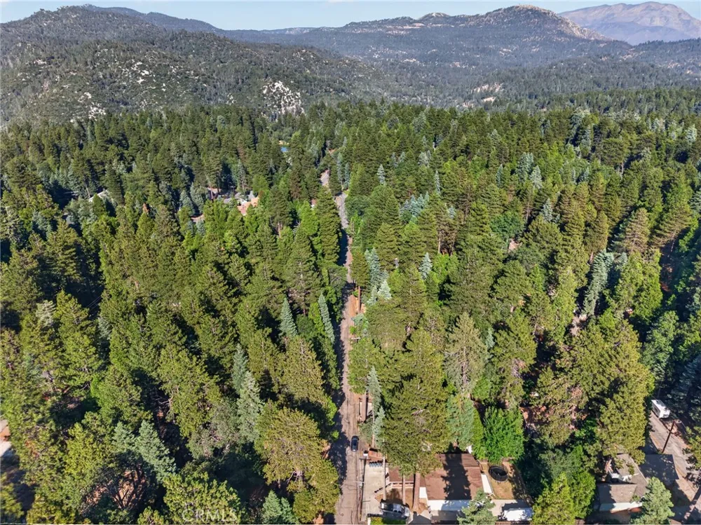 31351 Firwood Drive Running Springs, CA 92382