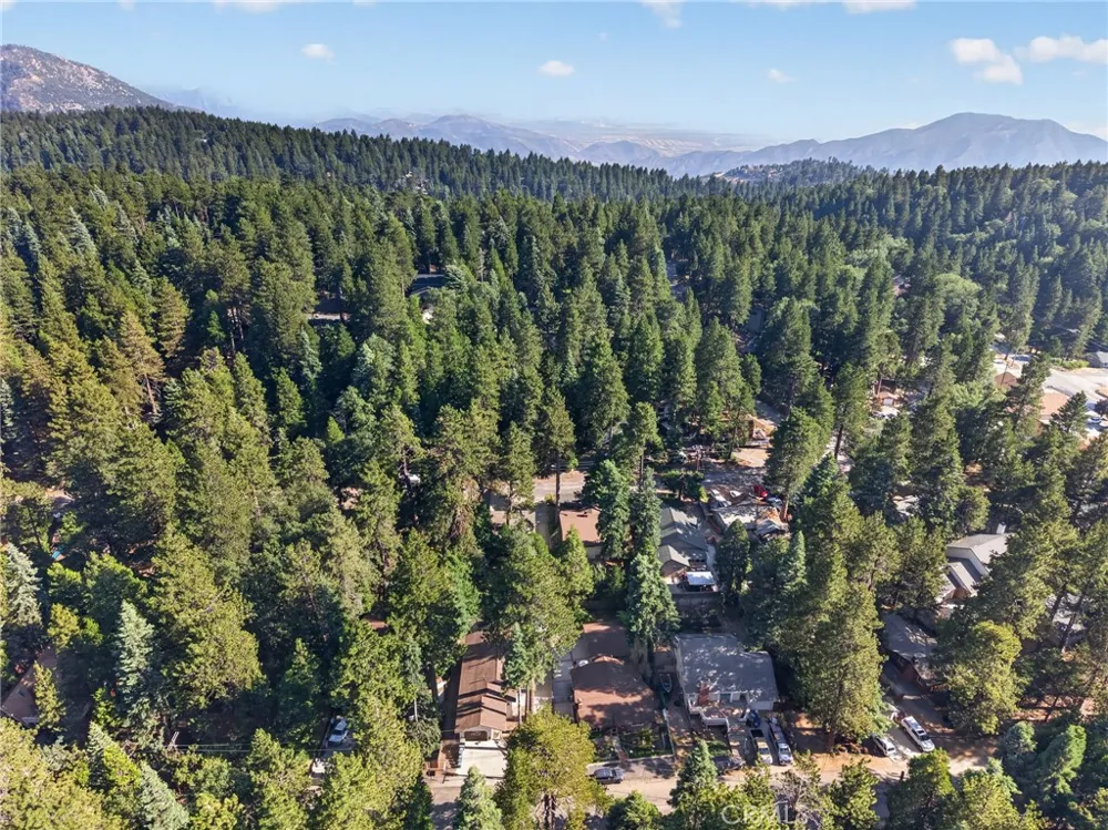 31351 Firwood Drive Running Springs, CA 92382