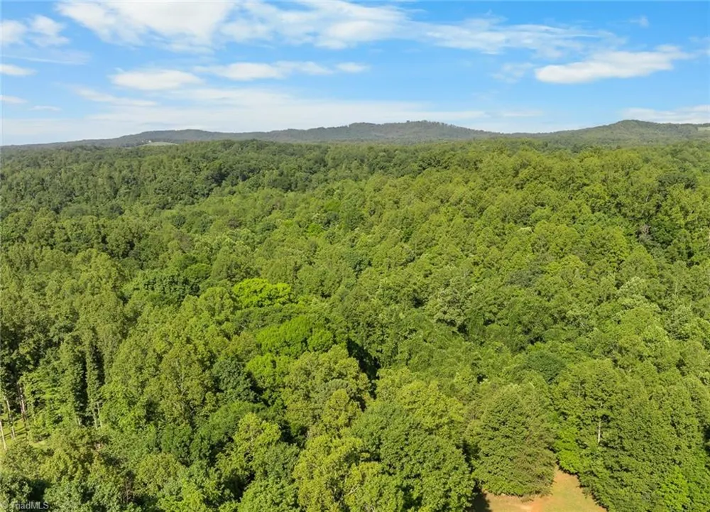000 Echo Hollar Road Westfield, NC 27053
