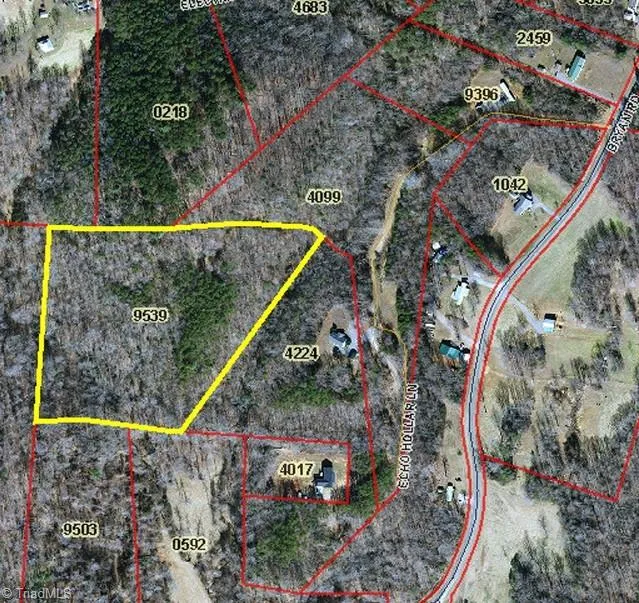 000 Echo Hollar Road Westfield, NC 27053