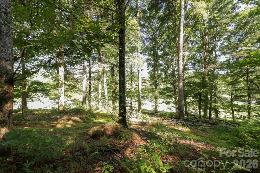 TBD Big Valley Road Pisgah Forest, NC 28768