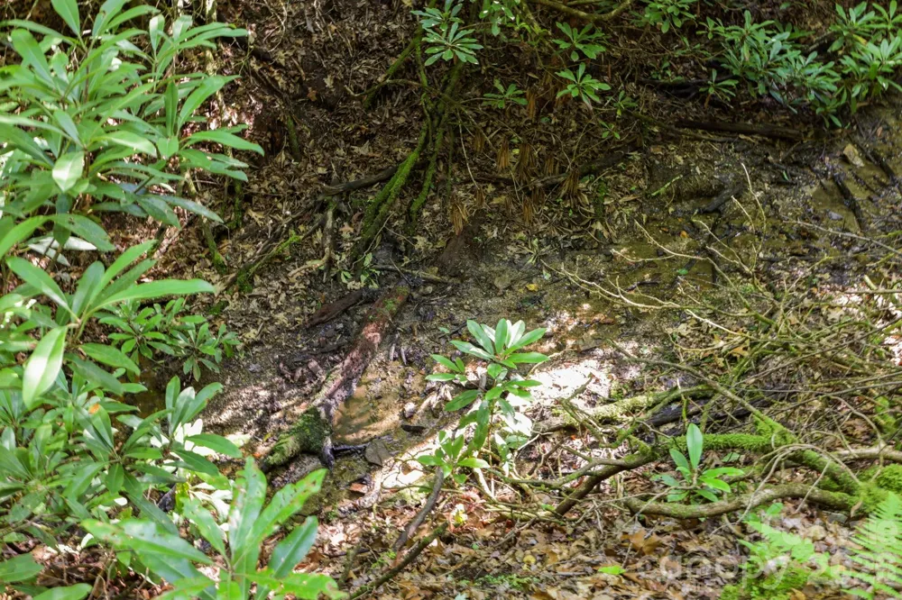 TBD Big Valley Road Pisgah Forest, NC 28768