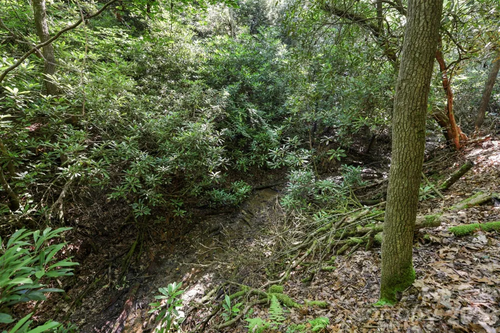 TBD Big Valley Road Pisgah Forest, NC 28768
