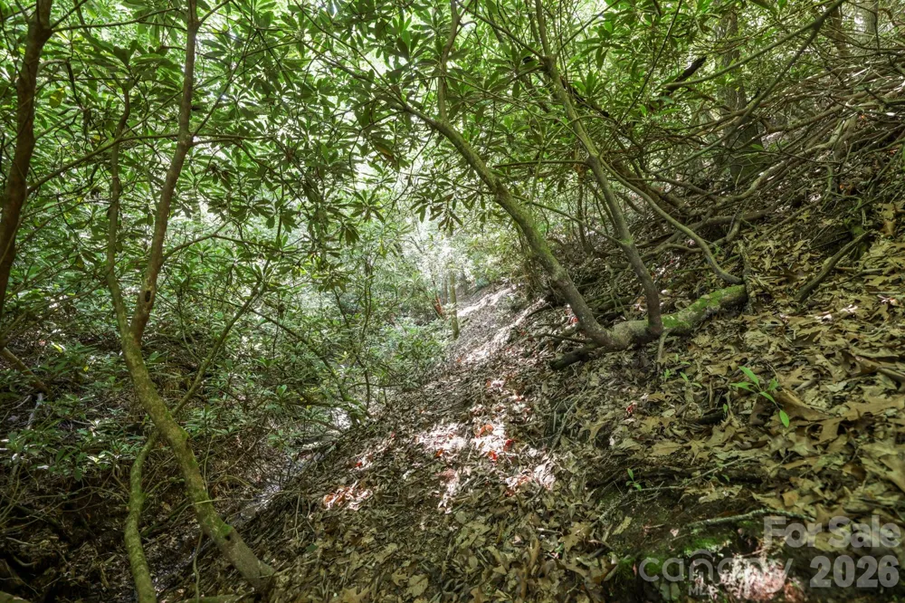 TBD Big Valley Road Pisgah Forest, NC 28768