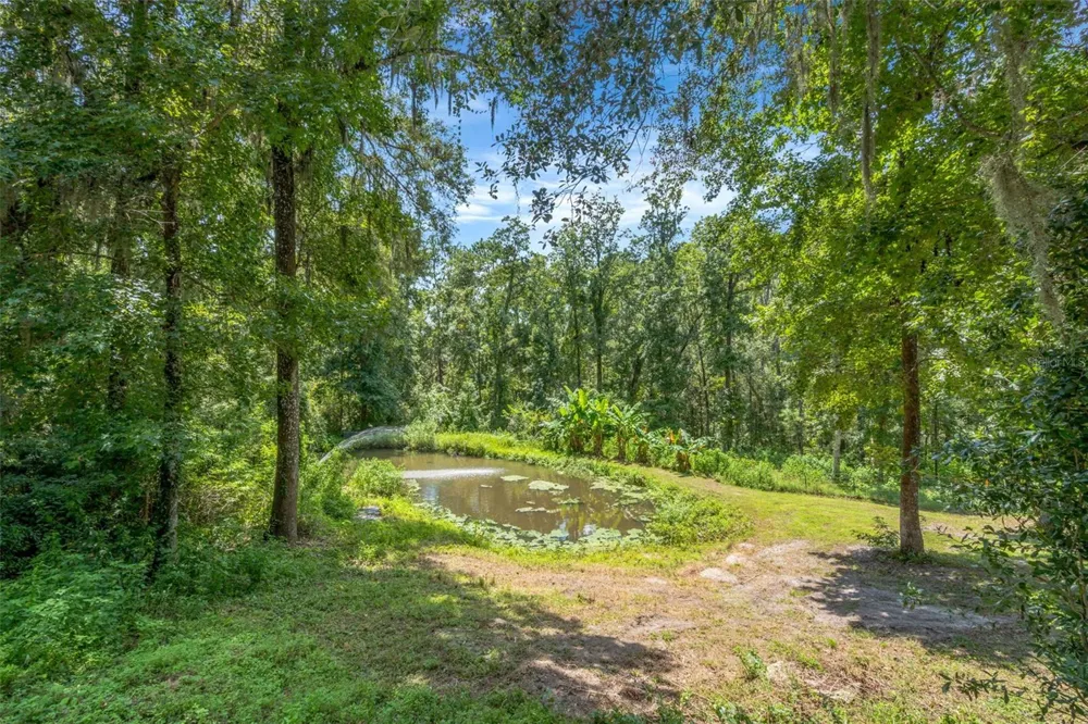 4243 NANCY CREEK BOULEVARD Brooksville, FL 34602