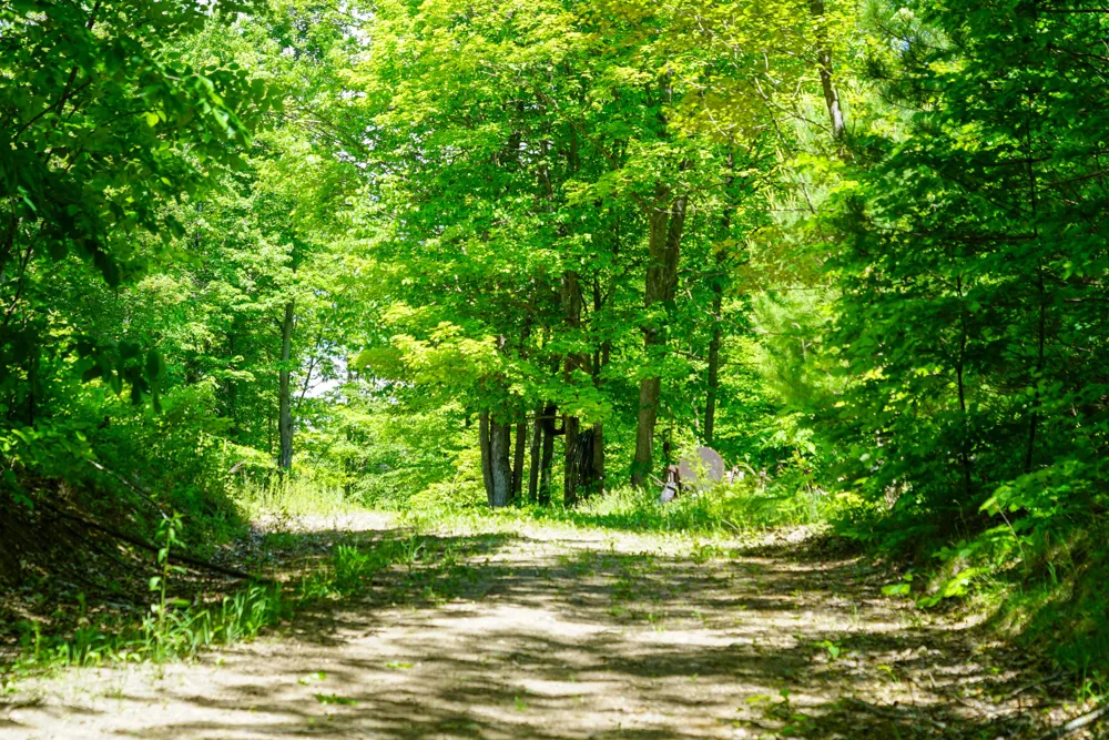 1244 Mayhew Road Rose Township, MI 48654