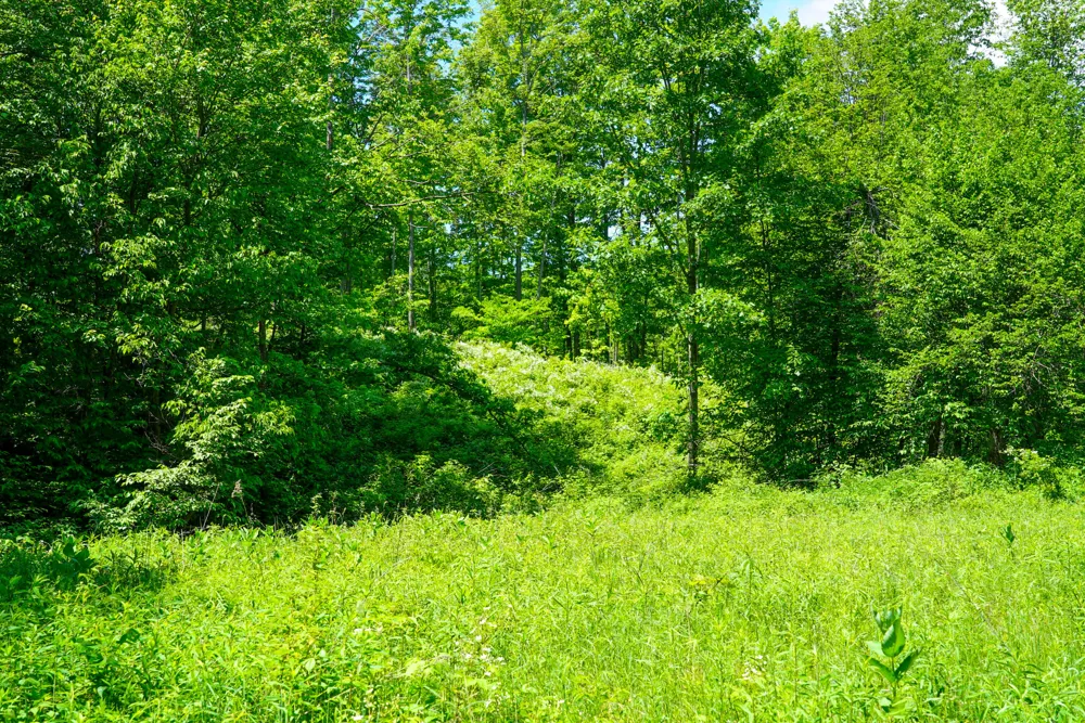 1244 Mayhew Road Rose Township, MI 48654