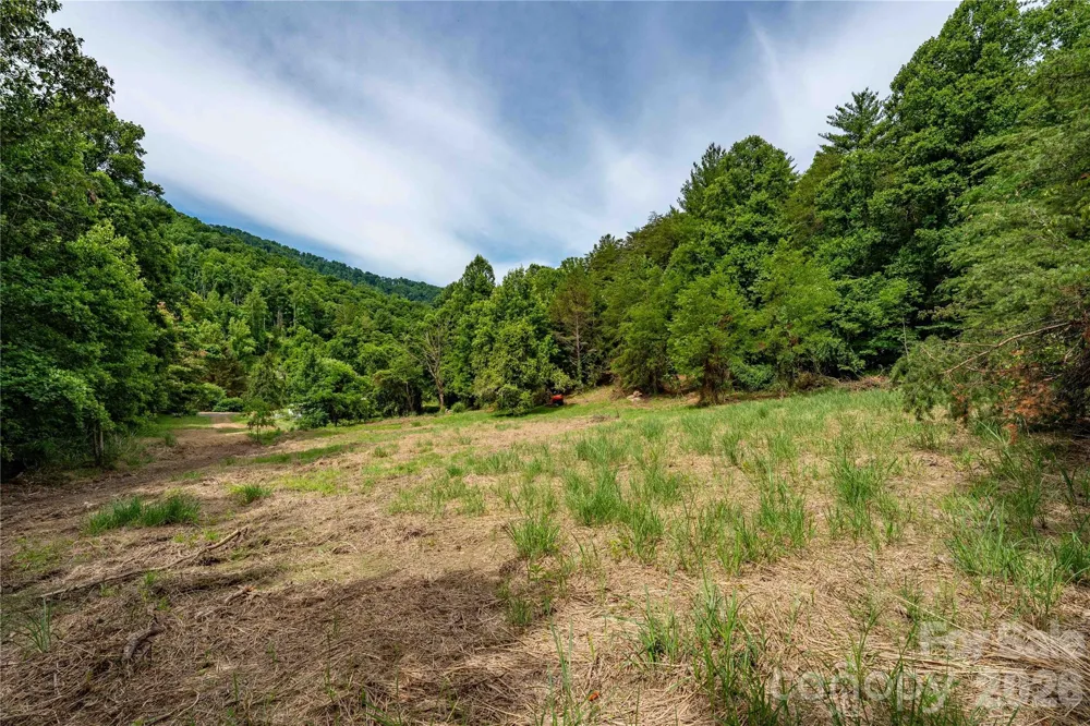 9999 Morgan Branch Road Weaverville, NC 28787