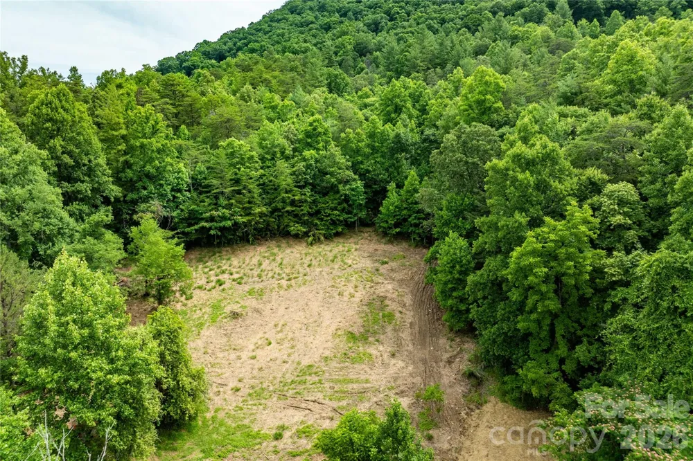 9999 Morgan Branch Road Weaverville, NC 28787