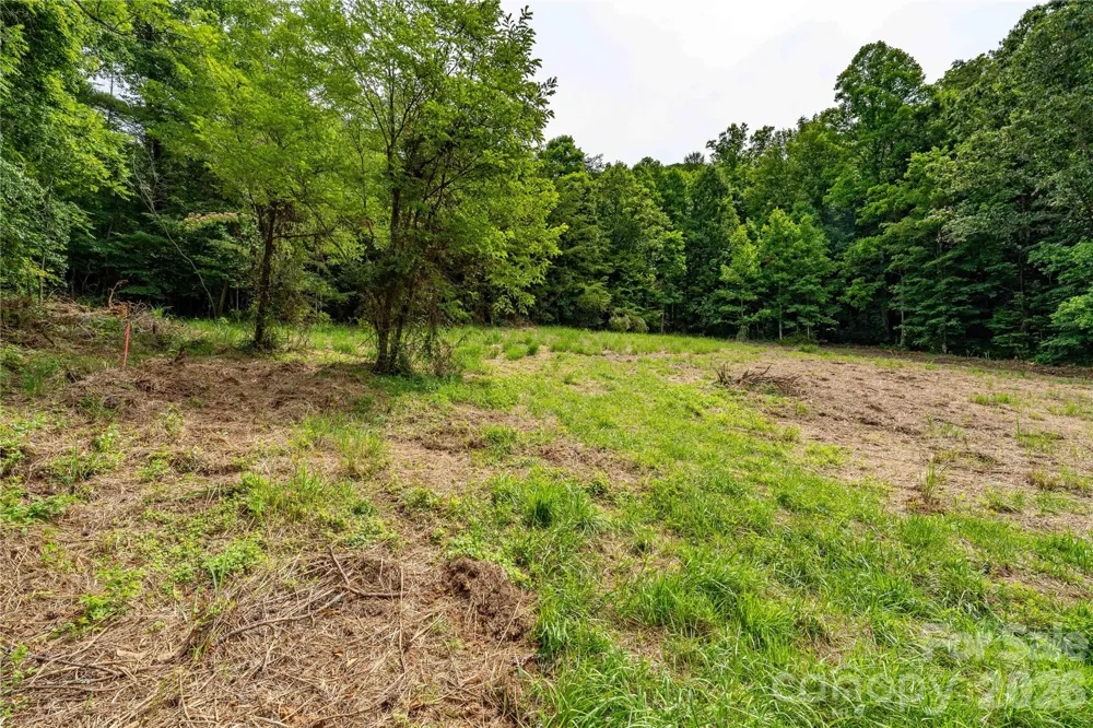 9999 Morgan Branch Road Weaverville, NC 28787