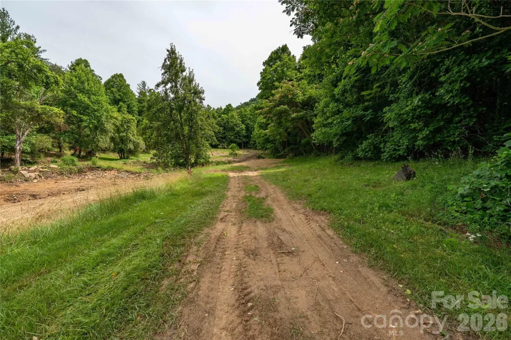 9999 Morgan Branch Road Weaverville, NC 28787