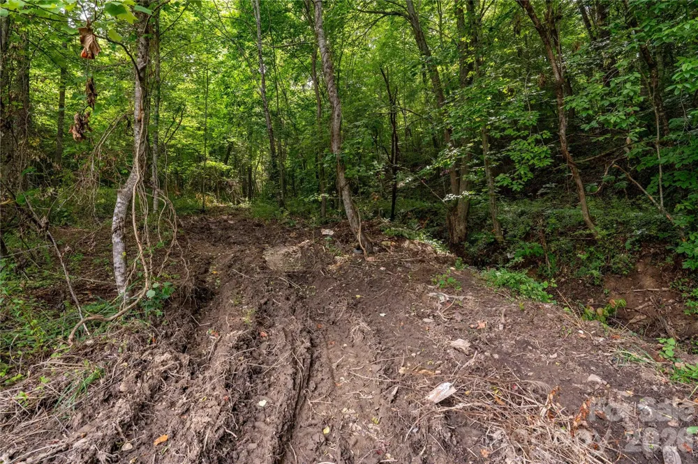 9999 Morgan Branch Road Weaverville, NC 28787