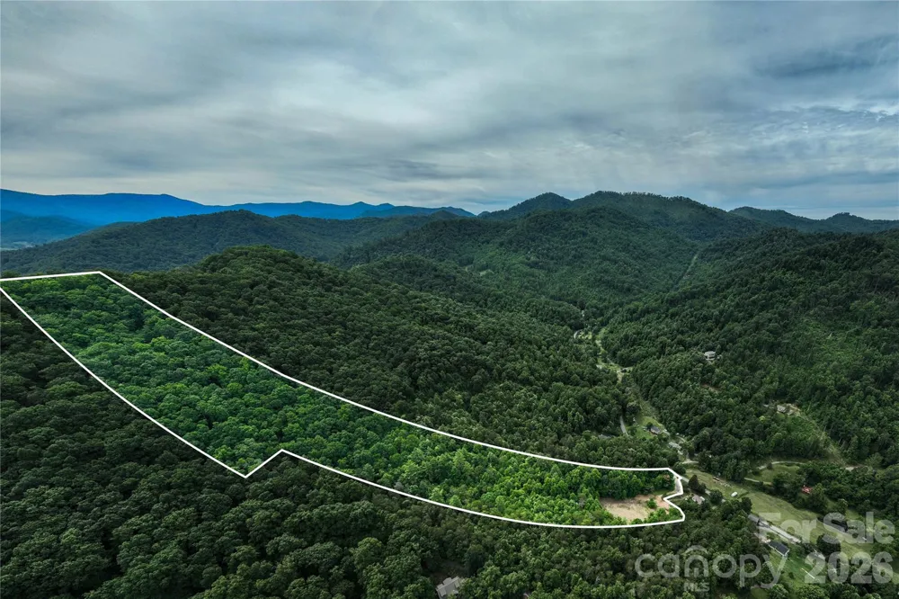 9999 Morgan Branch Road Weaverville, NC 28787
