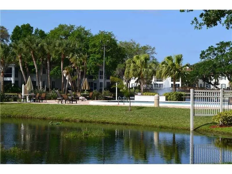 10356 CARROLLWOOD LANE #205 Tampa, FL 33618