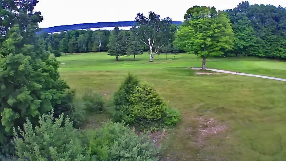Lakeview Trail Torch Lake Township, MI 49648