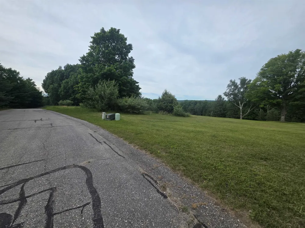 Lakeview Trail Torch Lake Township, MI 49648
