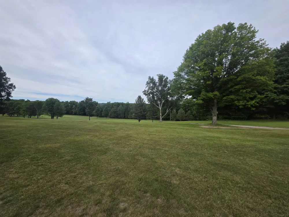 Lakeview Trail Torch Lake Township, MI 49648