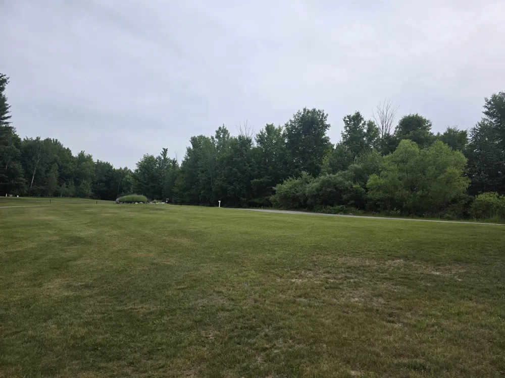 Lakeview Trail Torch Lake Township, MI 49648