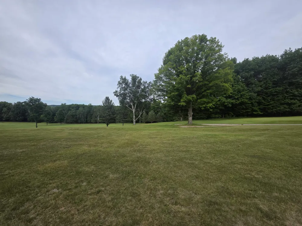 Lakeview Trail Torch Lake Township, MI 49648