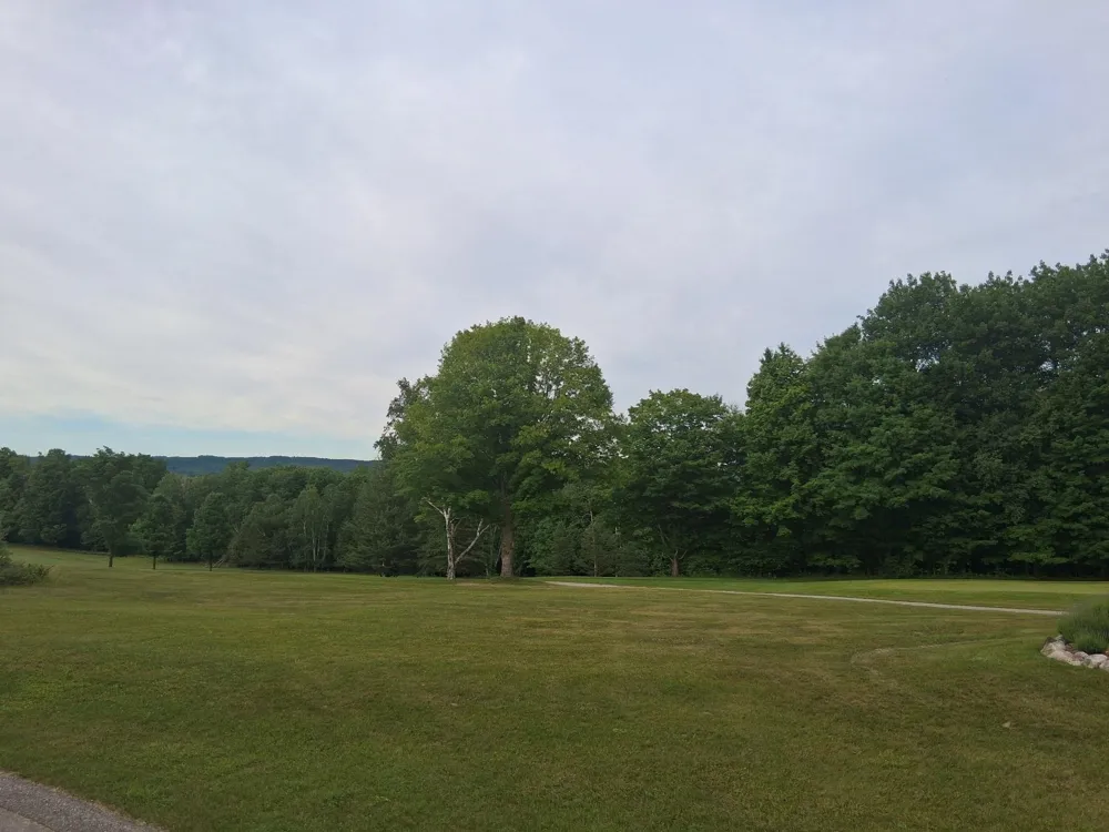 Lakeview Trail Torch Lake Township, MI 49648