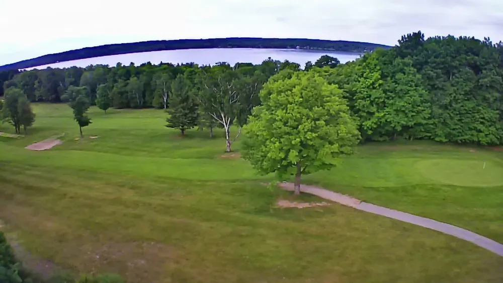 Lakeview Trail Torch Lake Township, MI 49648