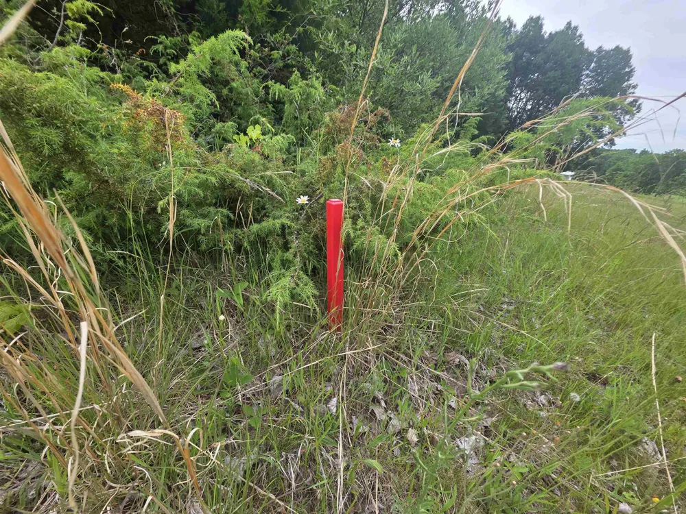 Lakeview Trail Torch Lake Township, MI 49648