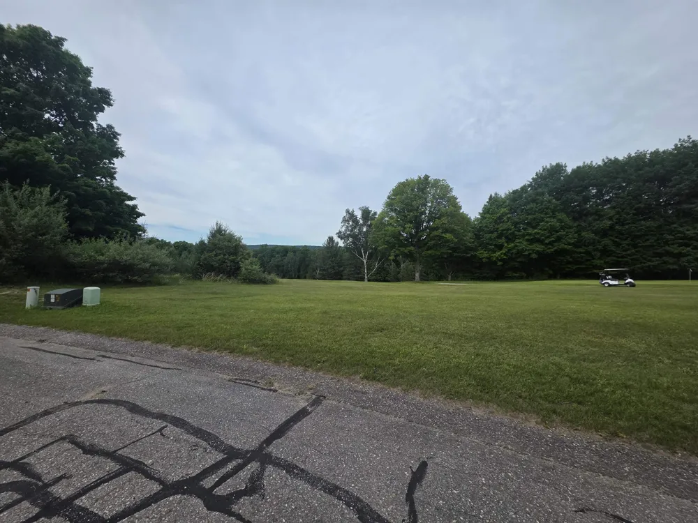 Lakeview Trail Torch Lake Township, MI 49648