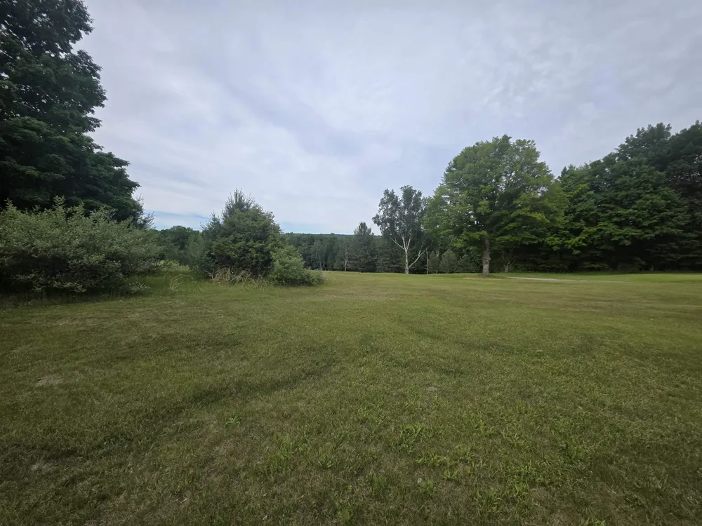 Lakeview Trail Torch Lake Township, MI 49648