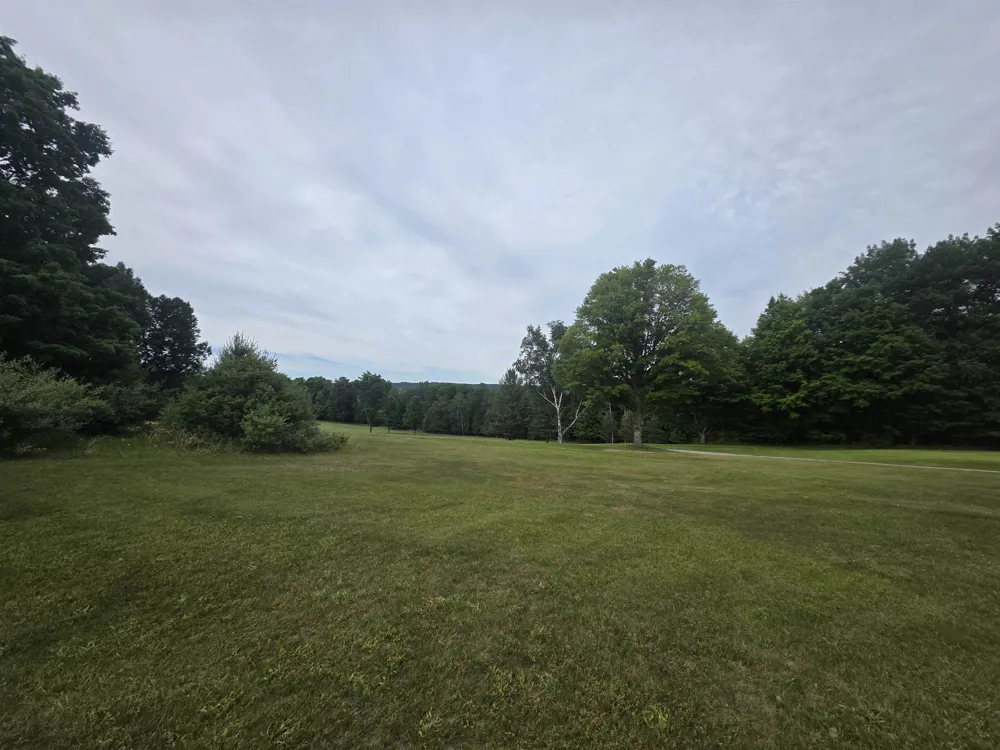 Lakeview Trail Torch Lake Township, MI 49648