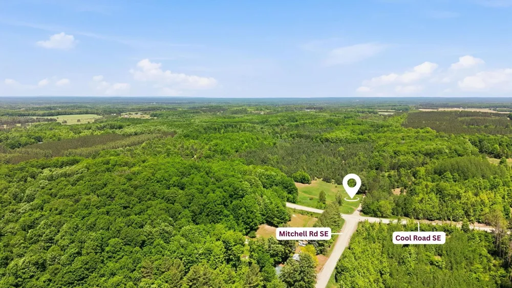 3982 SE Mitchell Road Orange Township, MI 49646