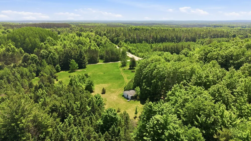 3982 SE Mitchell Road Orange Township, MI 49646
