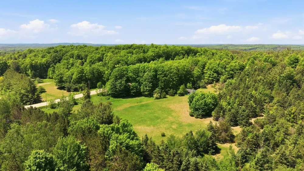 3982 SE Mitchell Road Orange Township, MI 49646