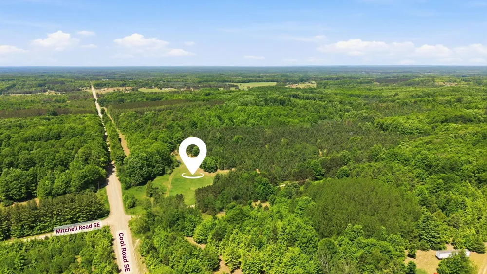 3982 SE Mitchell Road Orange Township, MI 49646
