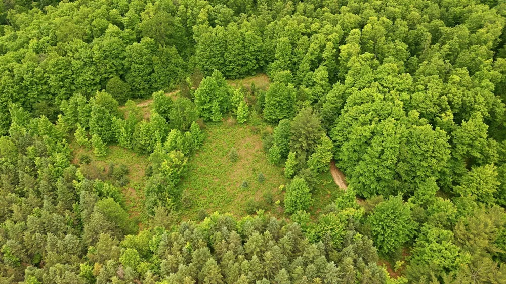 3982 SE Mitchell Road Orange Township, MI 49646