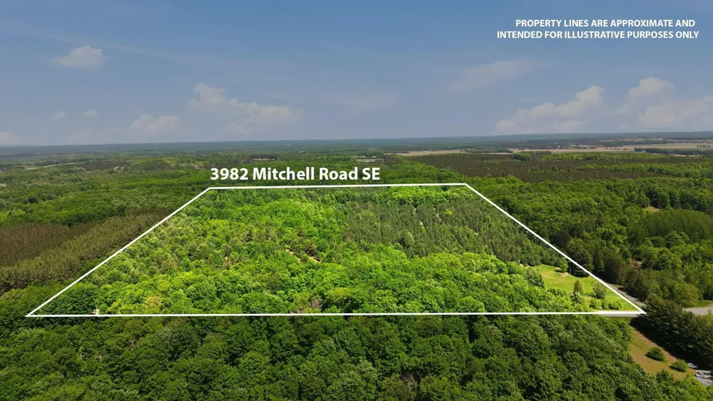 3982 SE Mitchell Road Orange Township, MI 49646