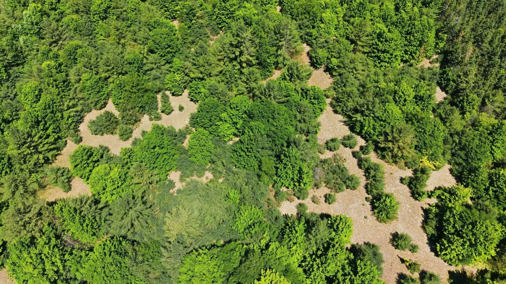 3982 SE Mitchell Road Orange Township, MI 49646