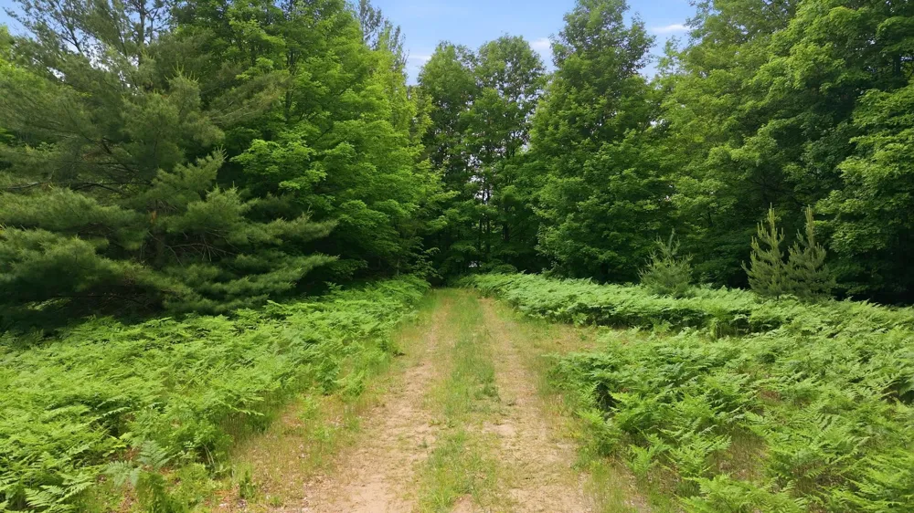 3982 SE Mitchell Road Orange Township, MI 49646
