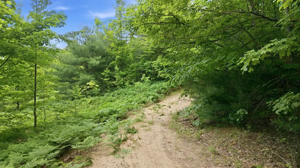 3982 SE Mitchell Road Orange Township, MI 49646