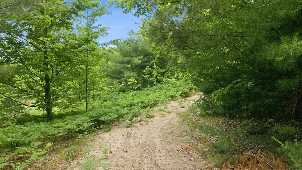 3982 SE Mitchell Road Orange Township, MI 49646