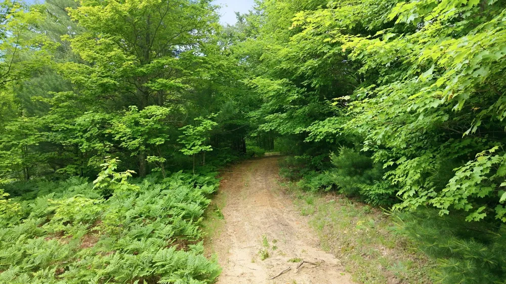 3982 SE Mitchell Road Orange Township, MI 49646