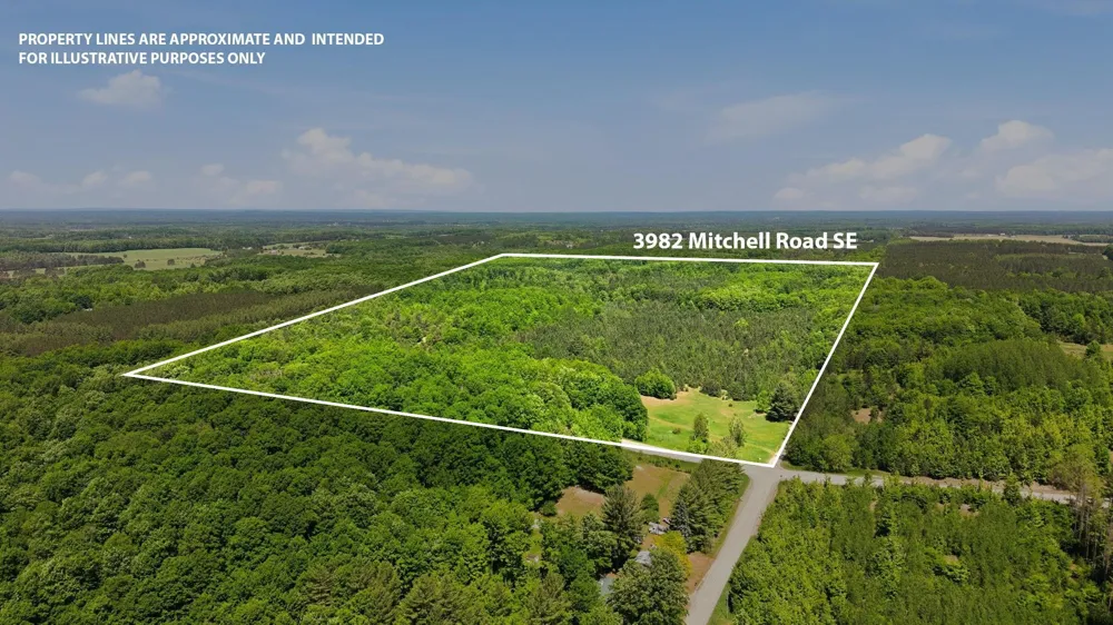3982 SE Mitchell Road Orange Township, MI 49646