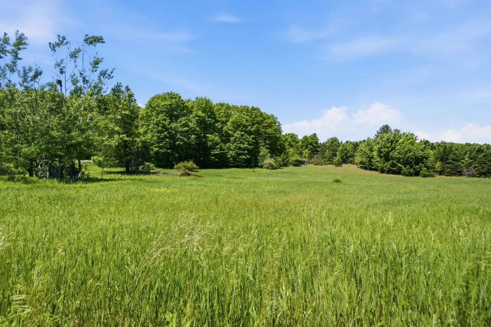 3982 SE Mitchell Road Orange Township, MI 49646