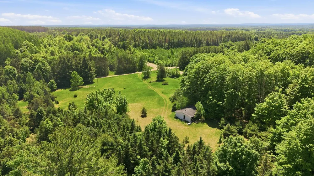 3982 SE Mitchell Road Orange Township, MI 49646
