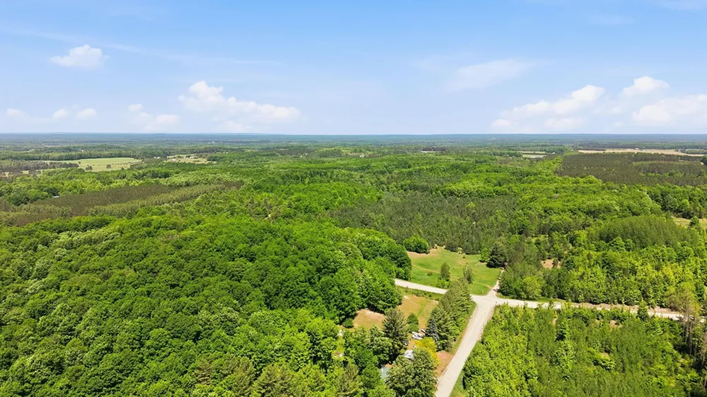 3982 SE Mitchell Road Orange Township, MI 49646